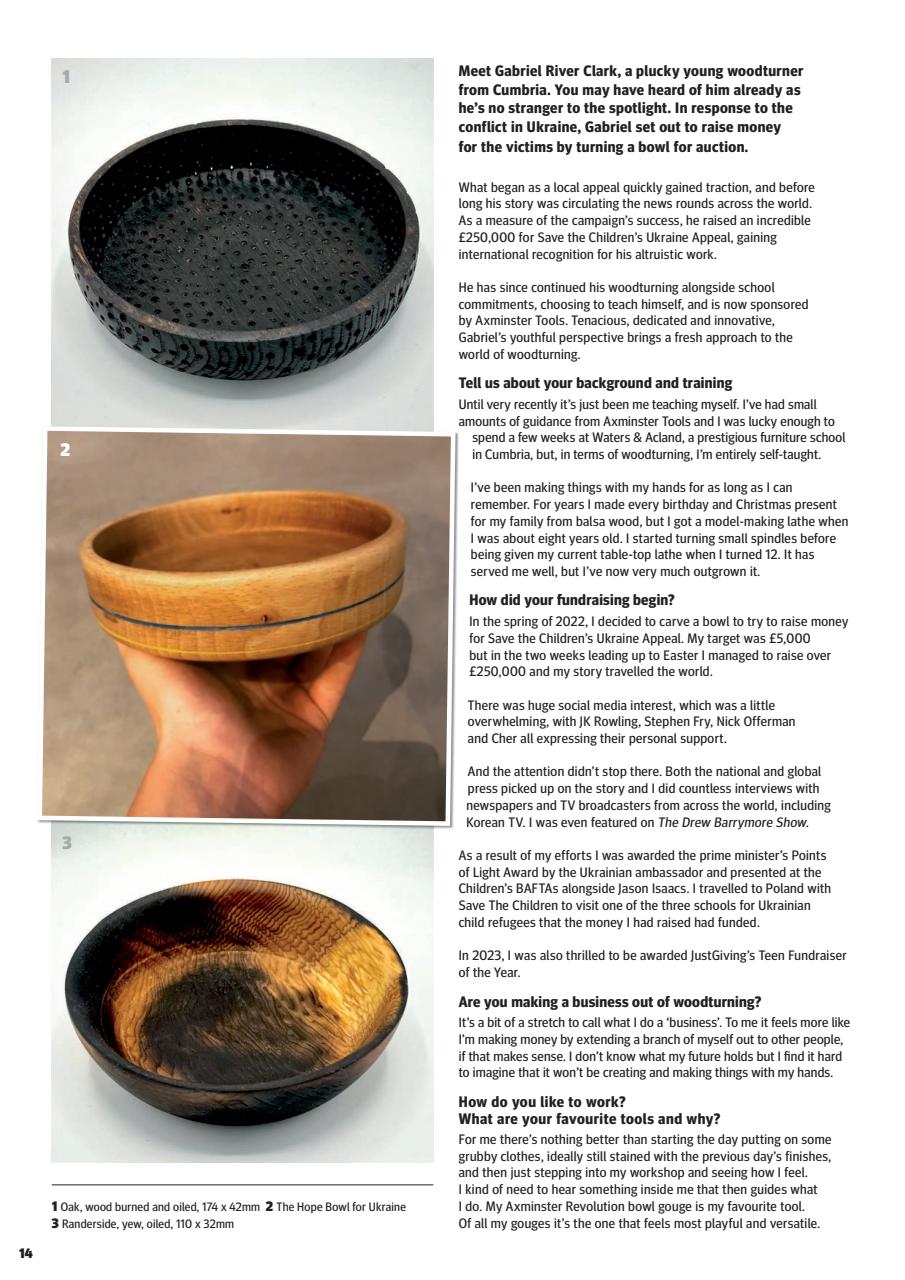 Woodturning Preview Pages