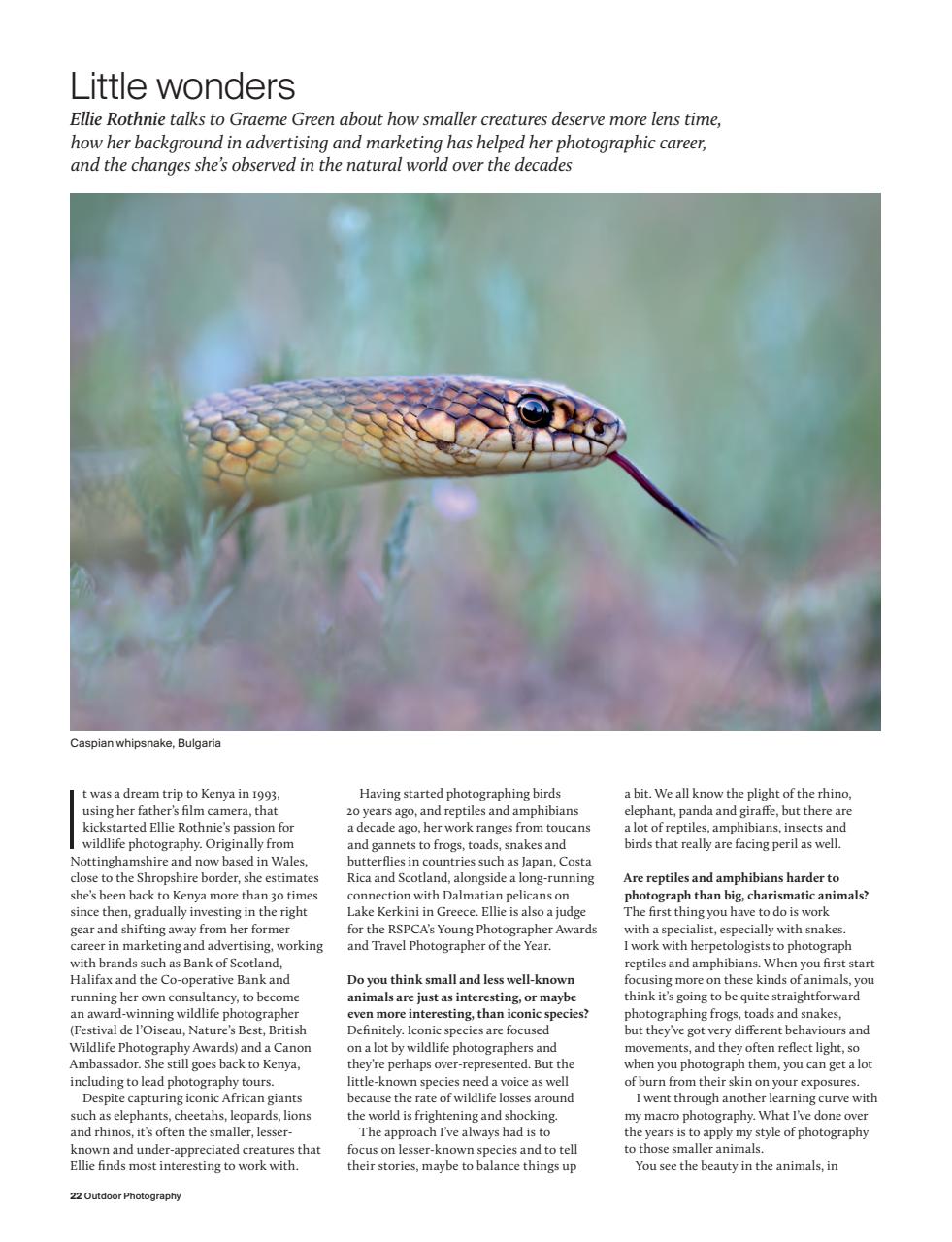 Outdoor Photography Preview Pages