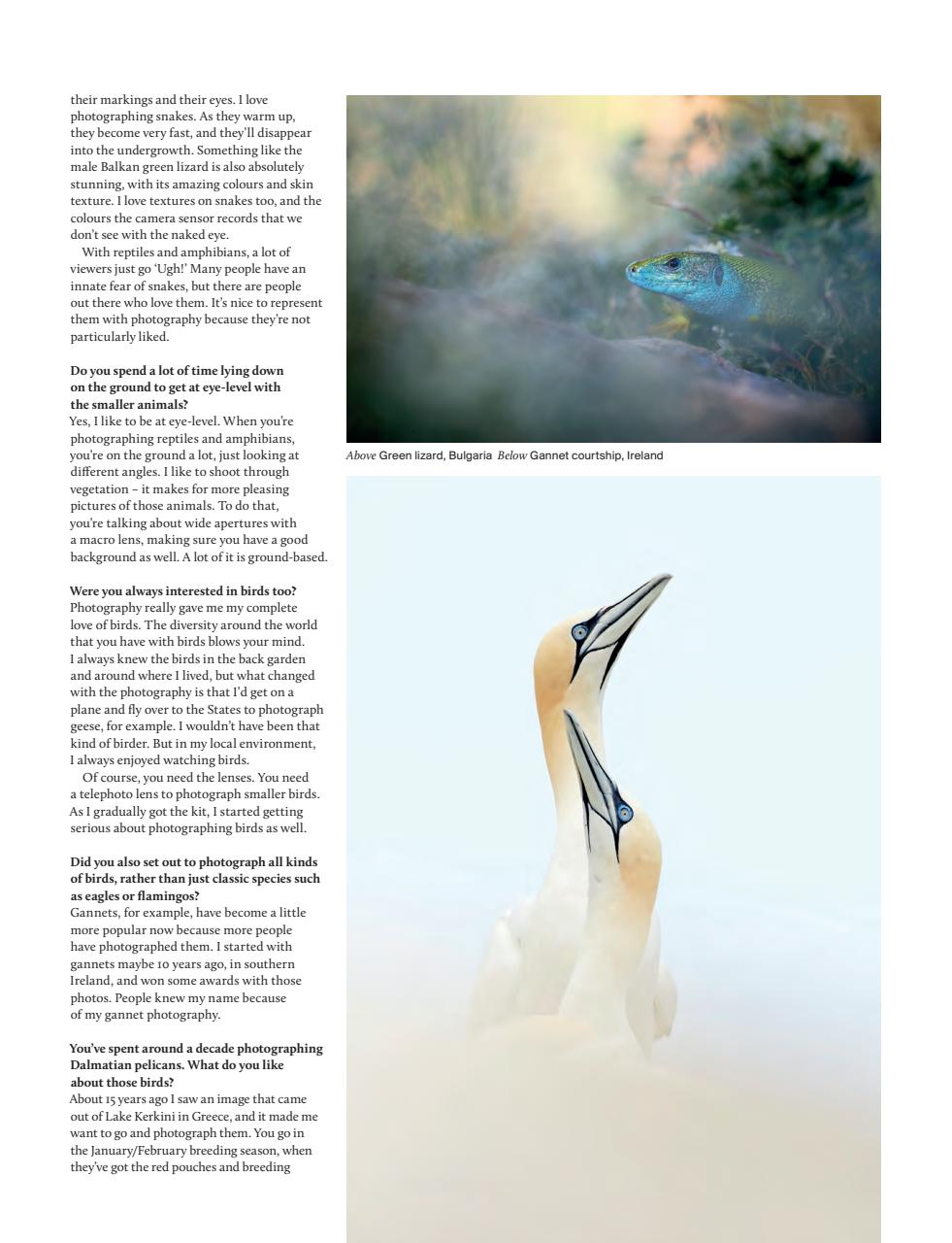 Outdoor Photography Preview Pages