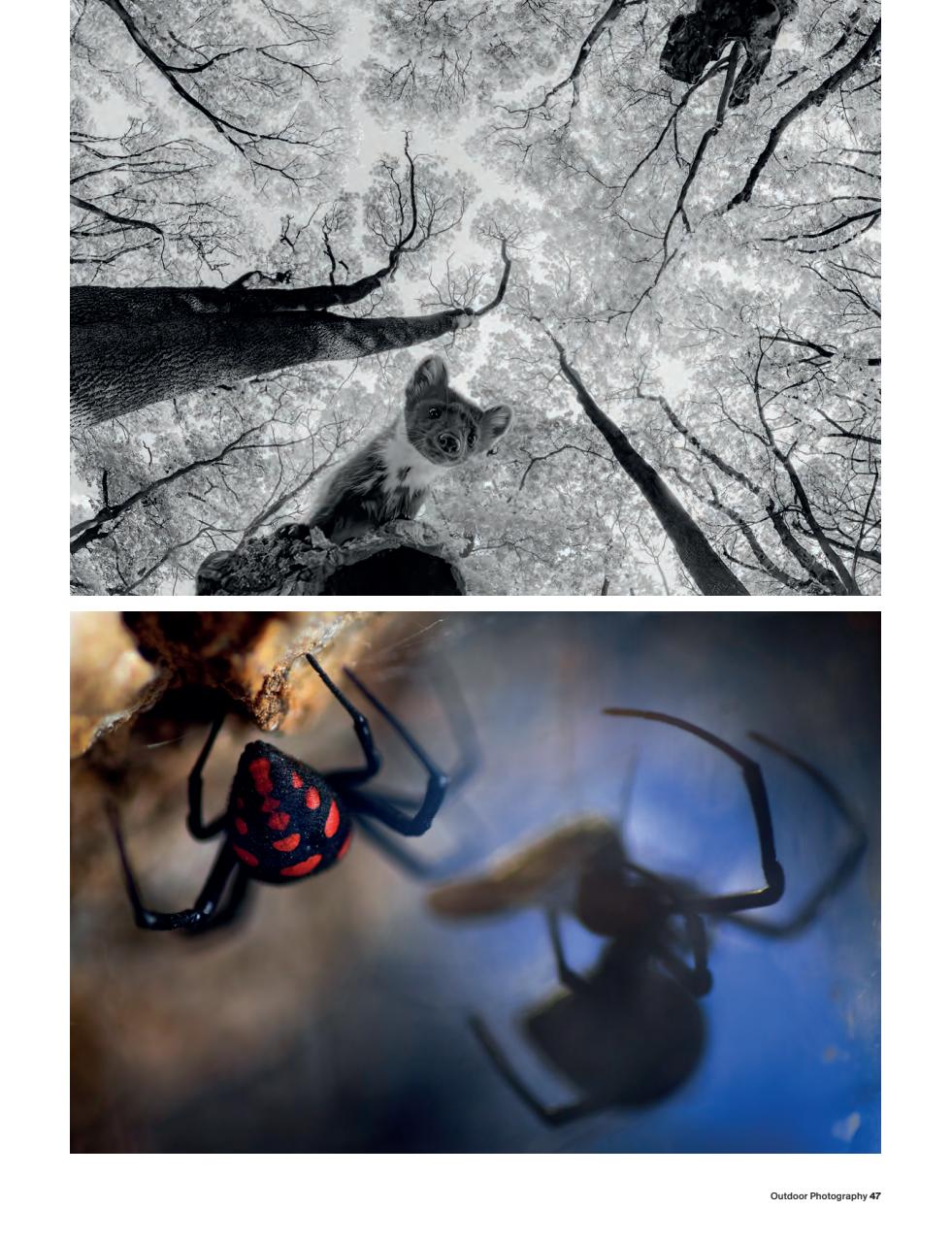 Outdoor Photography Preview Pages