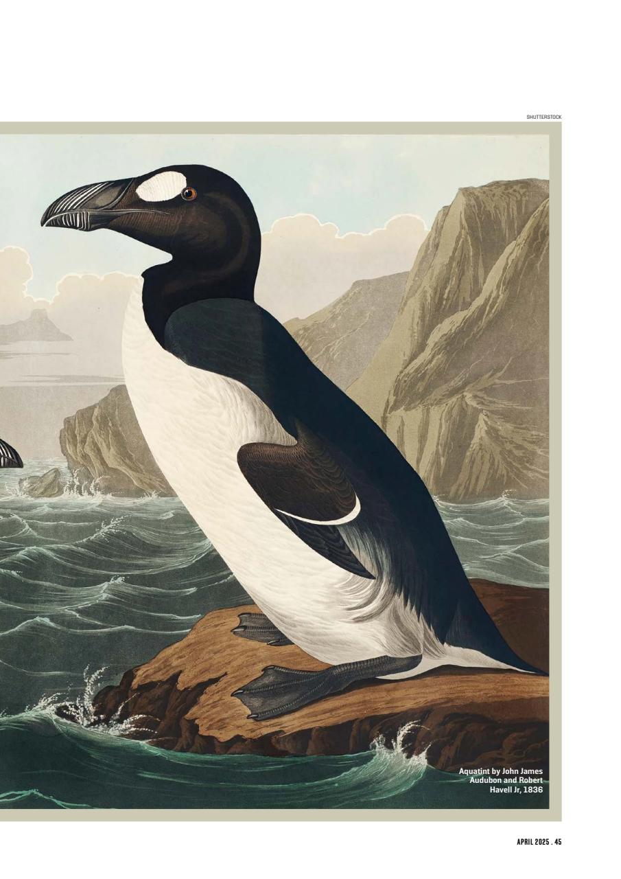 Geographical Preview Pages