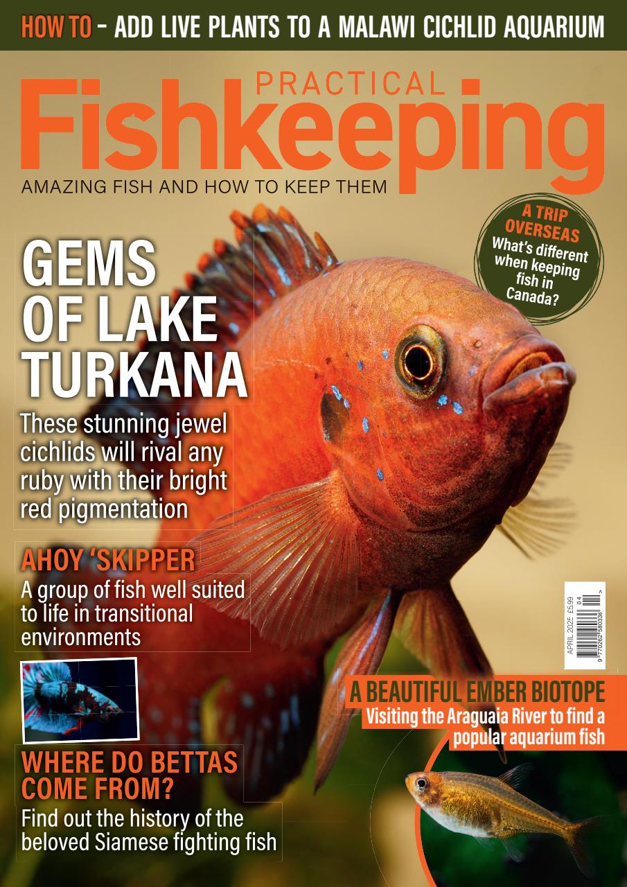 Practical Fishkeeping Preview Pages