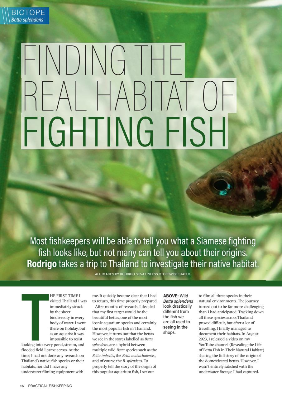 Practical Fishkeeping Preview Pages