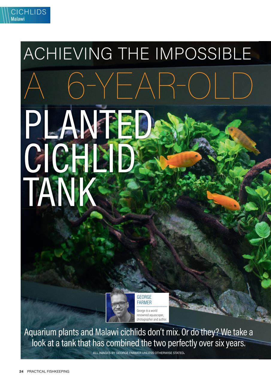 Practical Fishkeeping Preview Pages