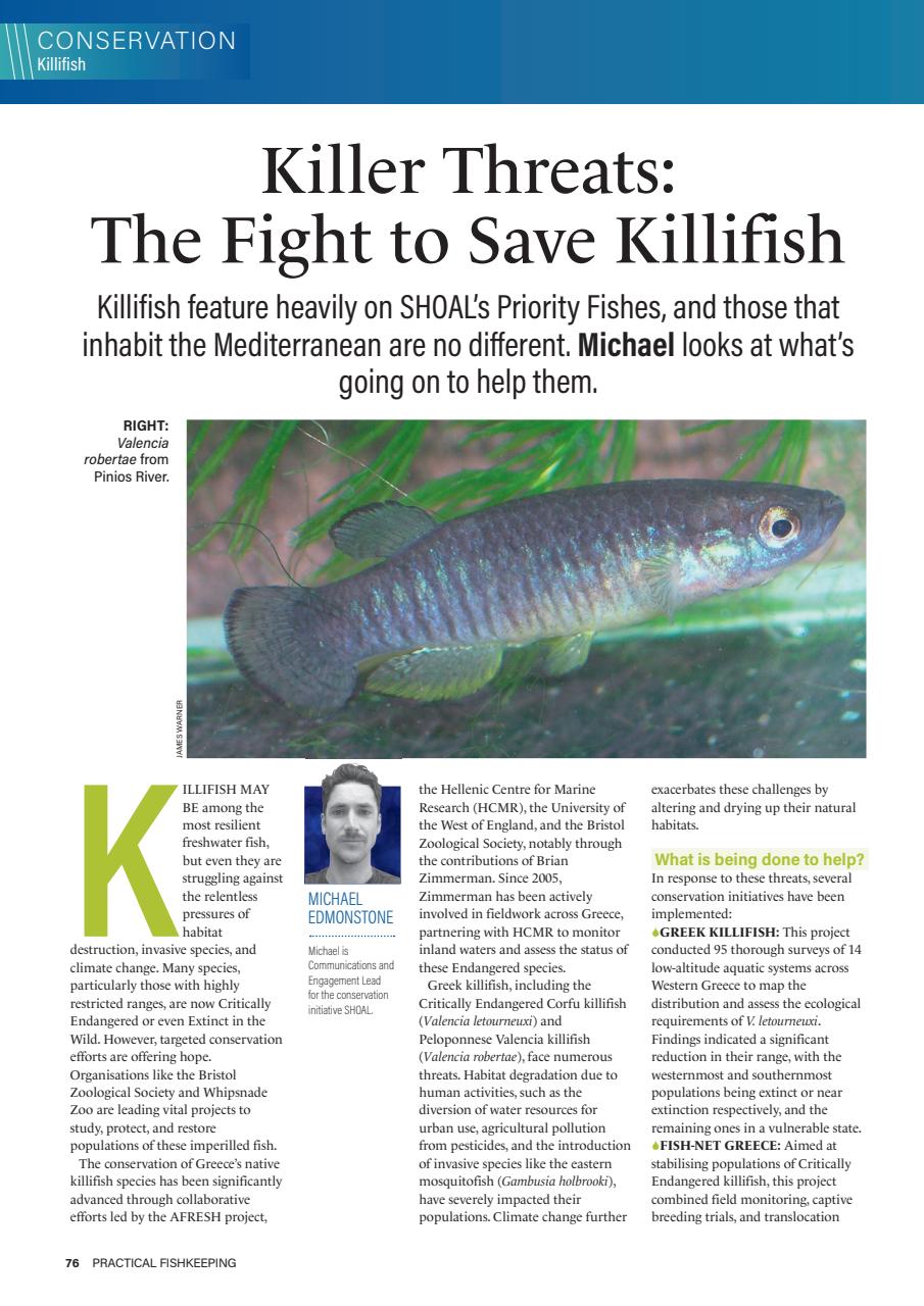 Practical Fishkeeping Preview Pages