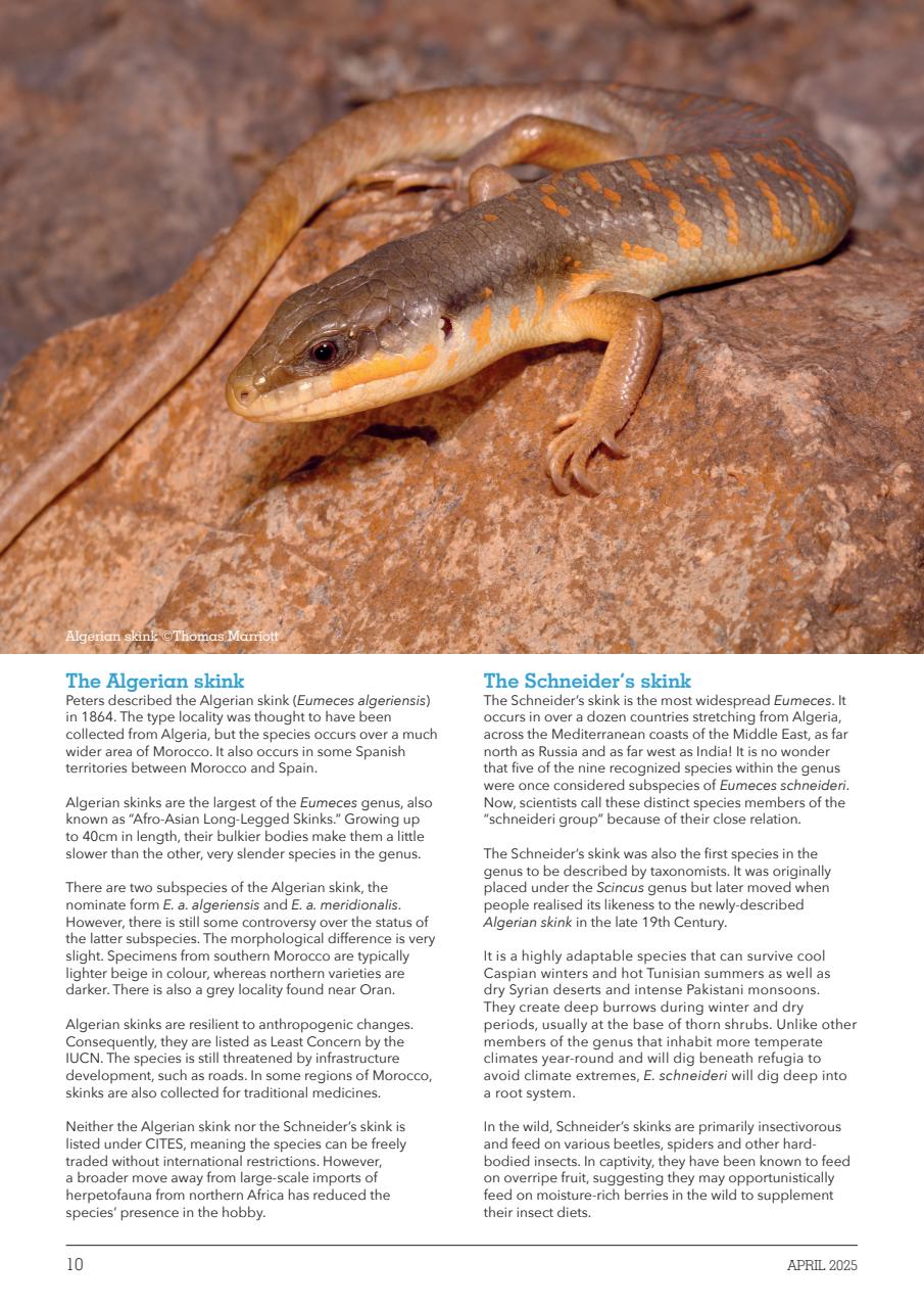 Exotics Keeper Preview Pages