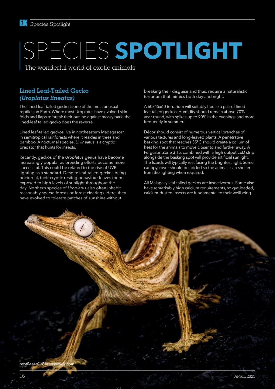 Exotics Keeper Preview Pages