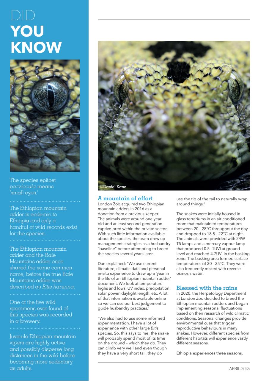 Exotics Keeper Preview Pages