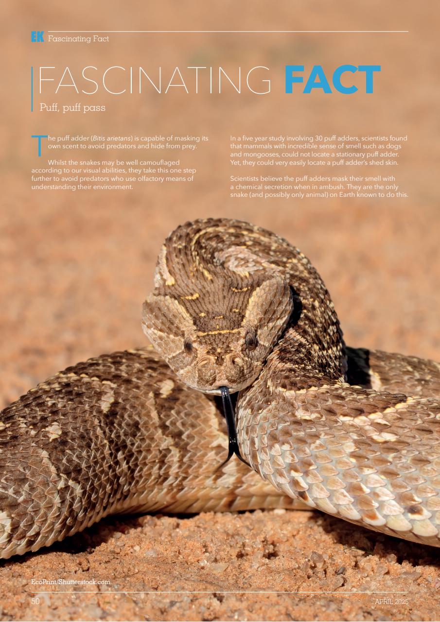 Exotics Keeper Preview Pages