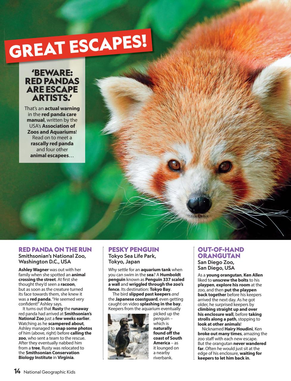 National Geographic Kids Preview Pages