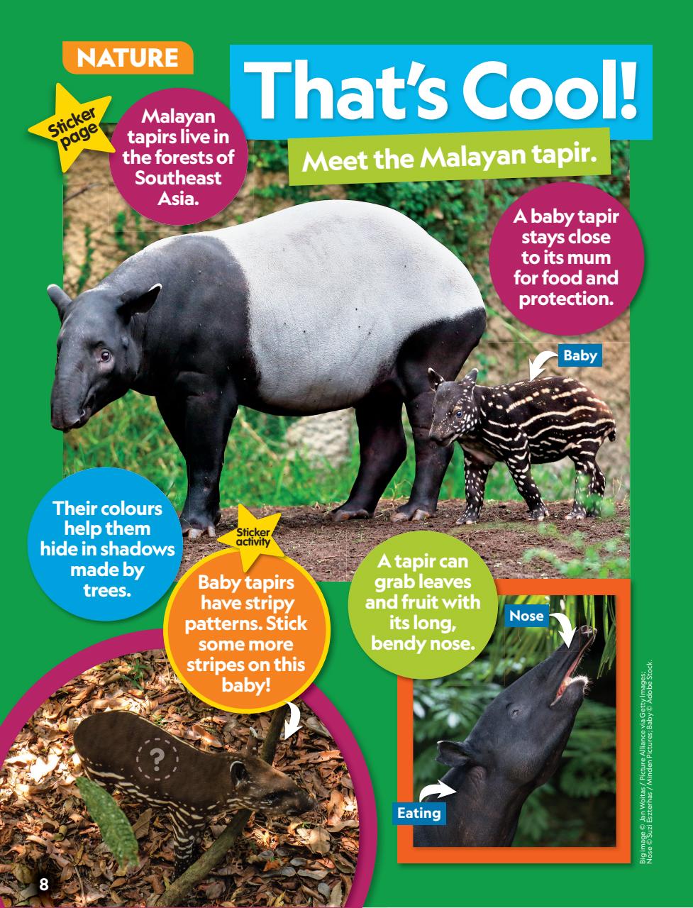 National Geographic Little Kids Preview Pages