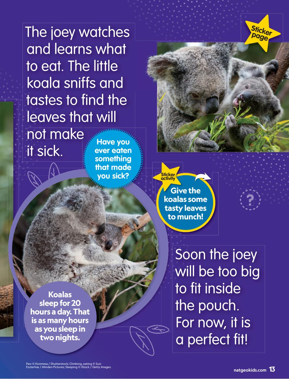National Geographic Little Kids Preview Pages