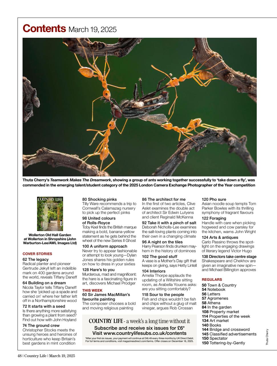 Country Life Preview Pages