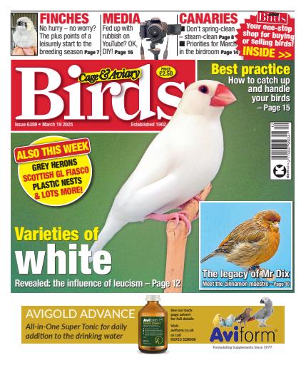Cage & Aviary Birds issue 
