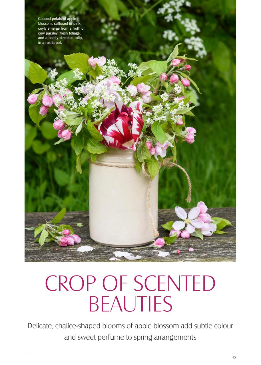 LandScape Preview Pages