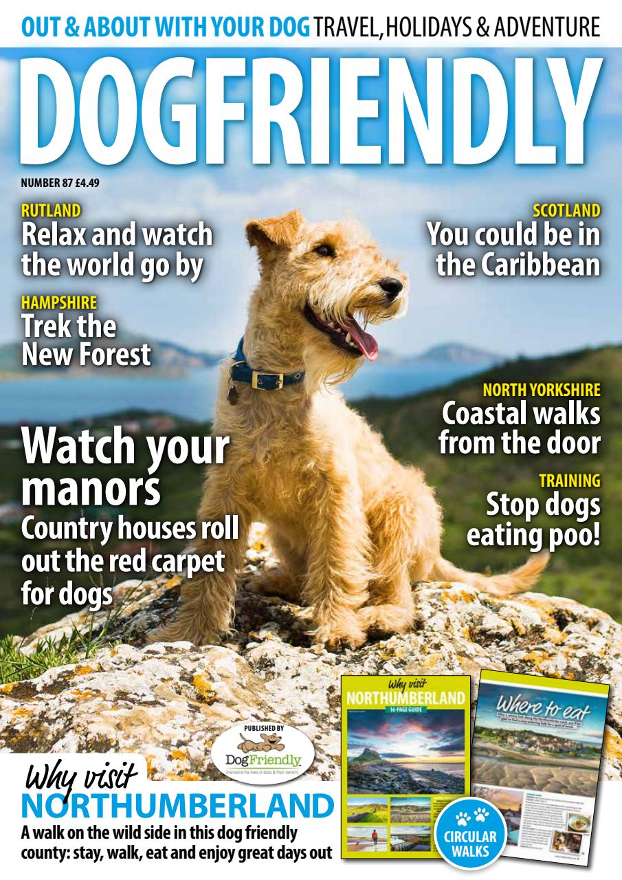 Dog Friendly Preview Pages