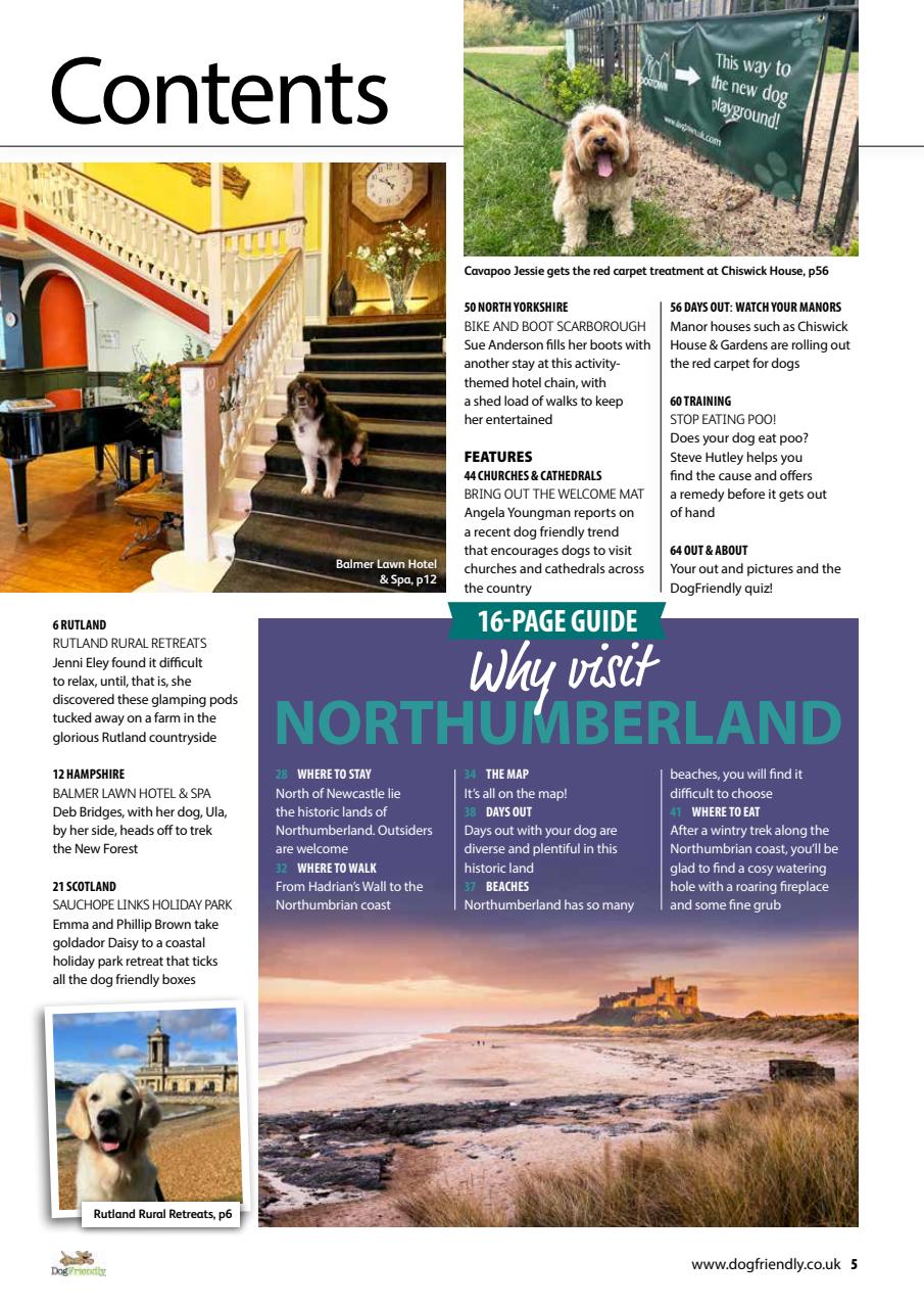 Dog Friendly Preview Pages