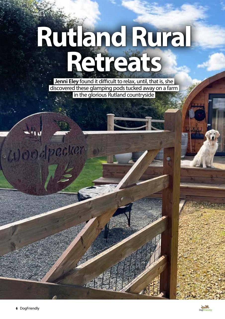 Dog Friendly Preview Pages