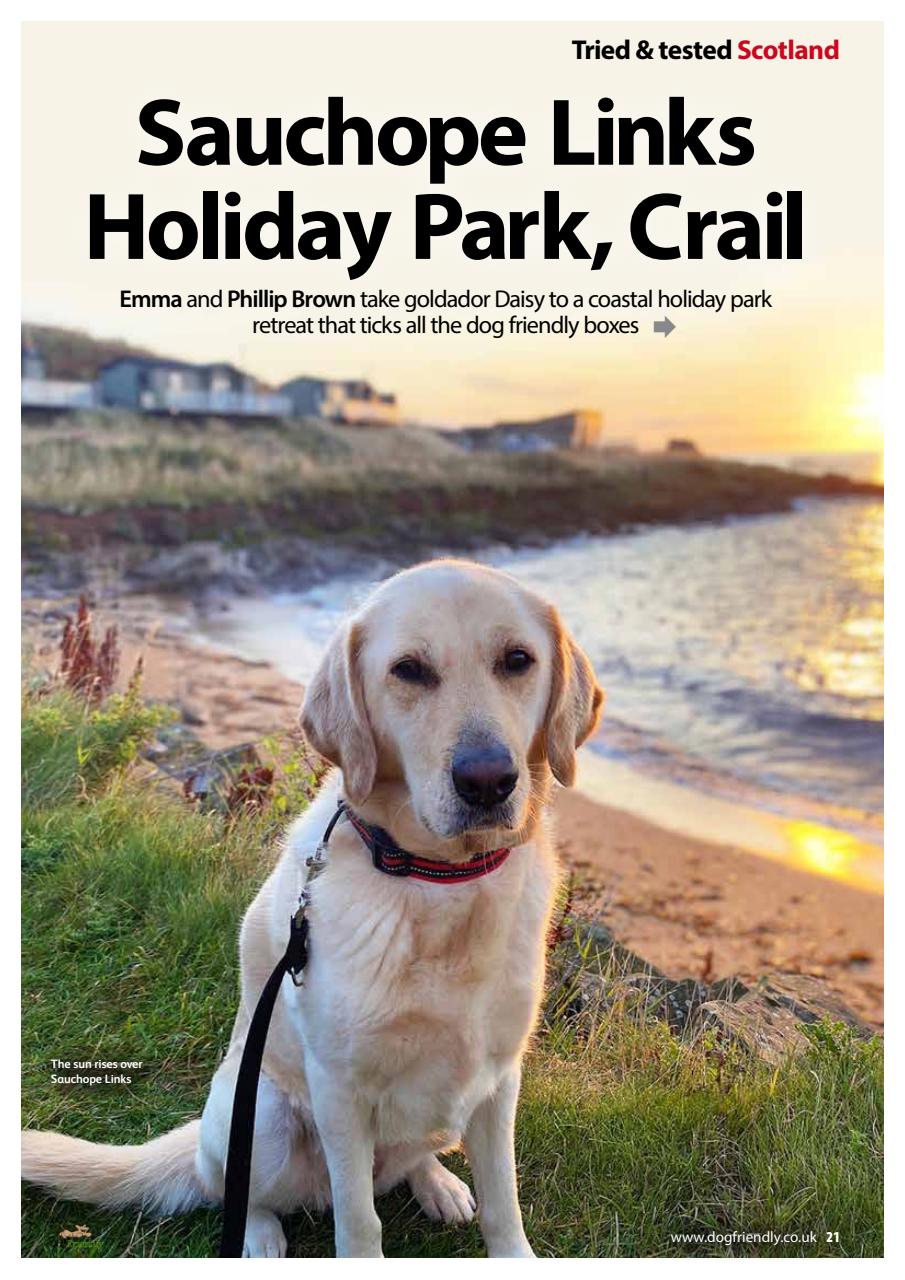 Dog Friendly Preview Pages