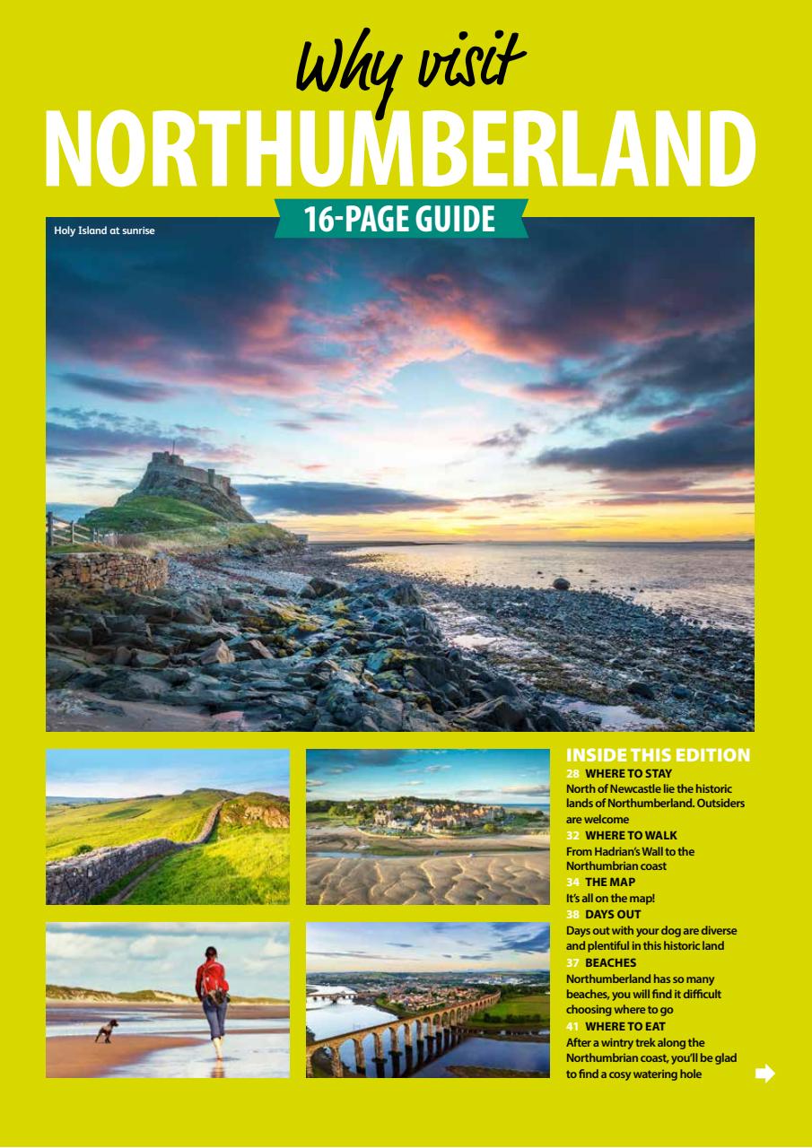 Dog Friendly Preview Pages