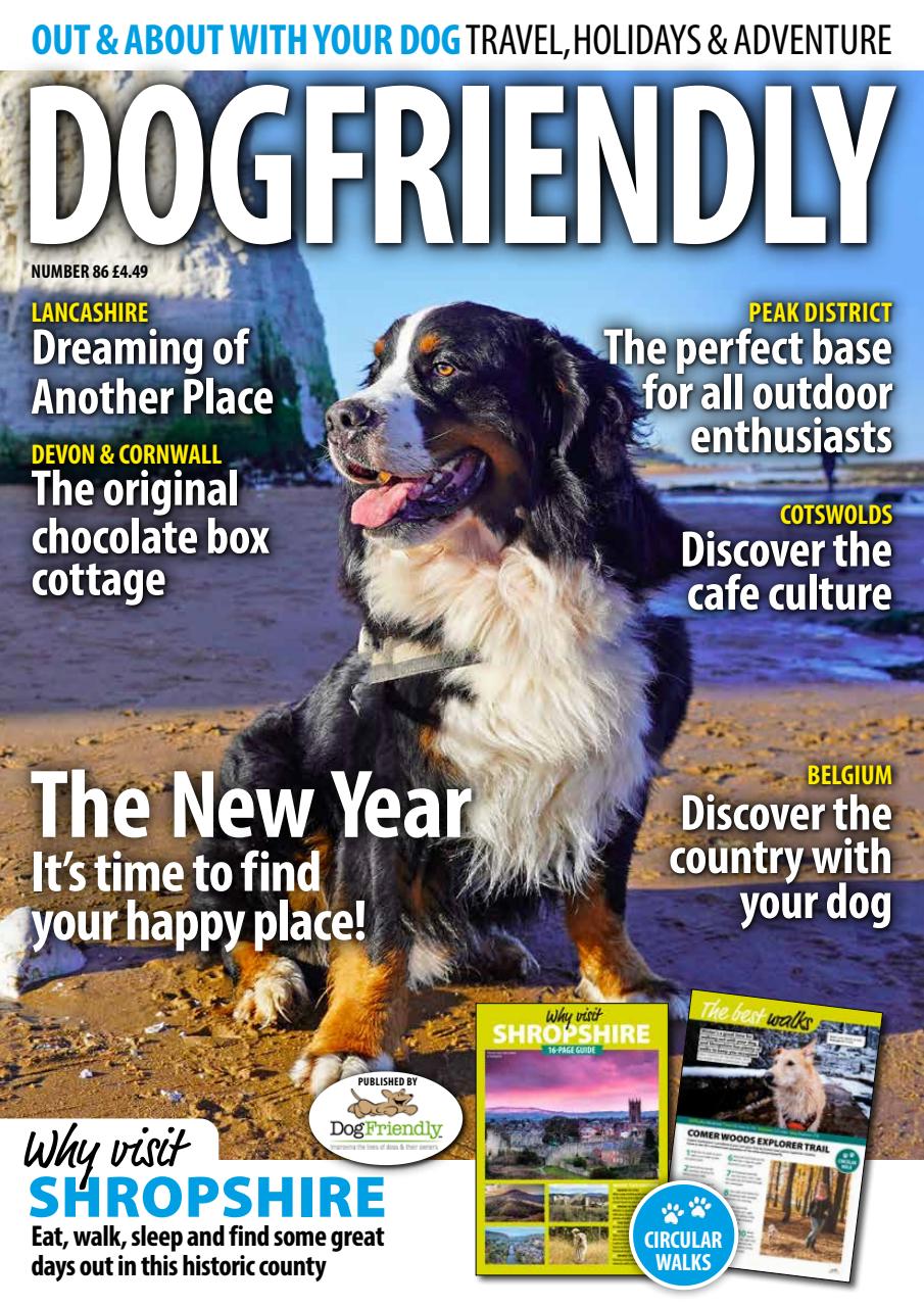 Dog Friendly Preview Pages