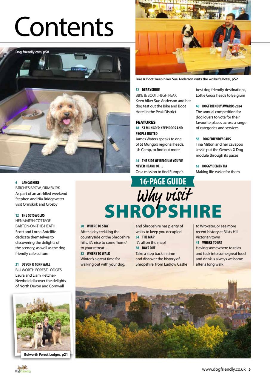 Dog Friendly Preview Pages