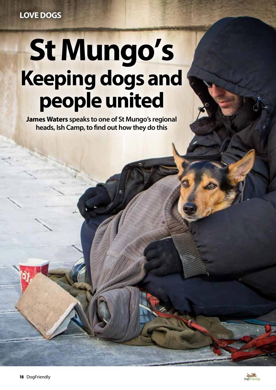 Dog Friendly Preview Pages