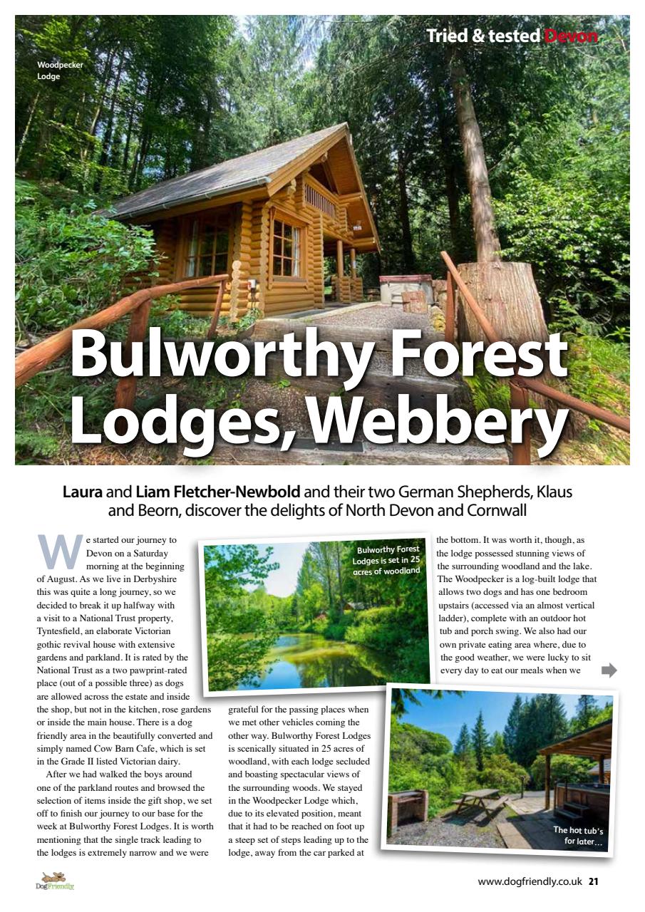 Dog Friendly Preview Pages