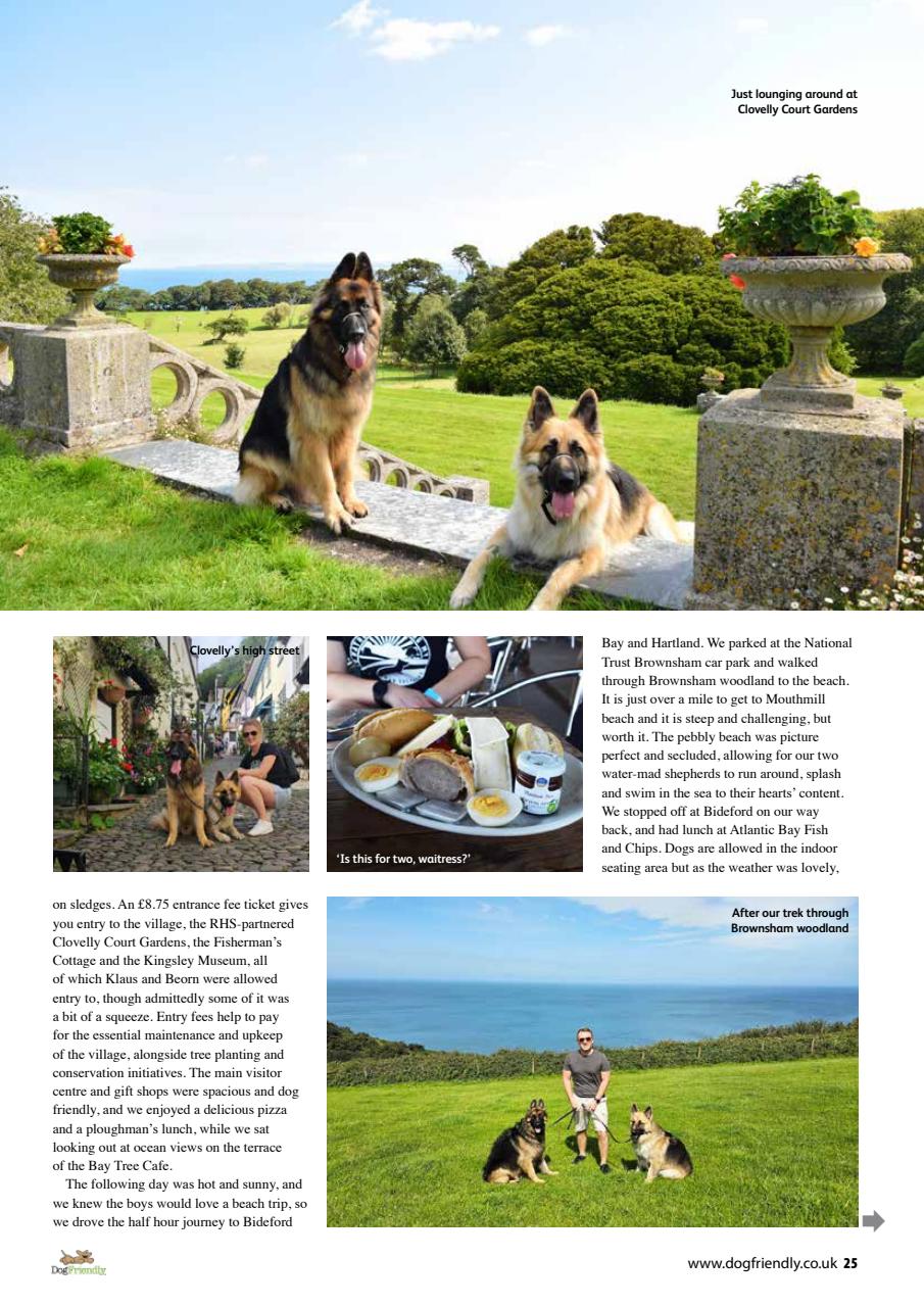Dog Friendly Preview Pages