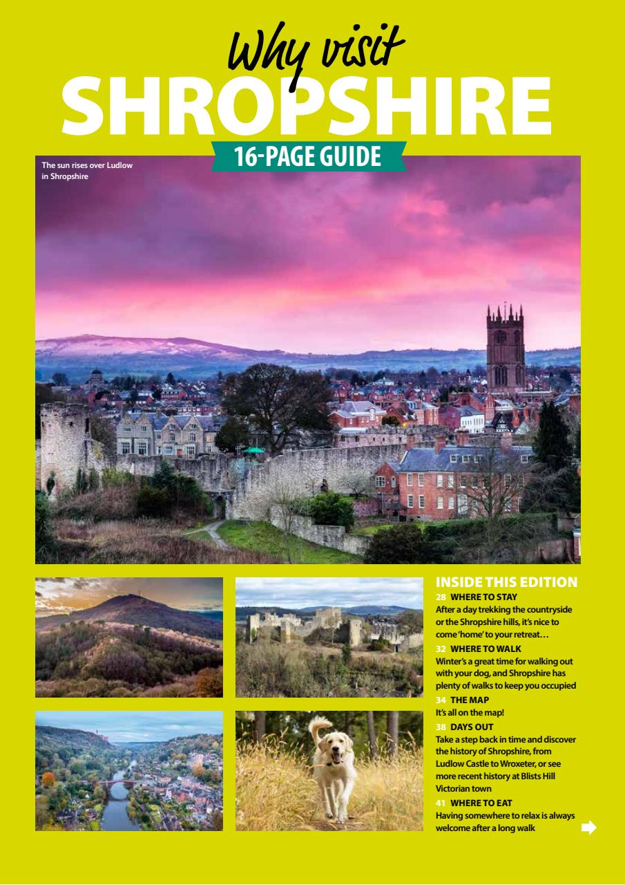 Dog Friendly Preview Pages