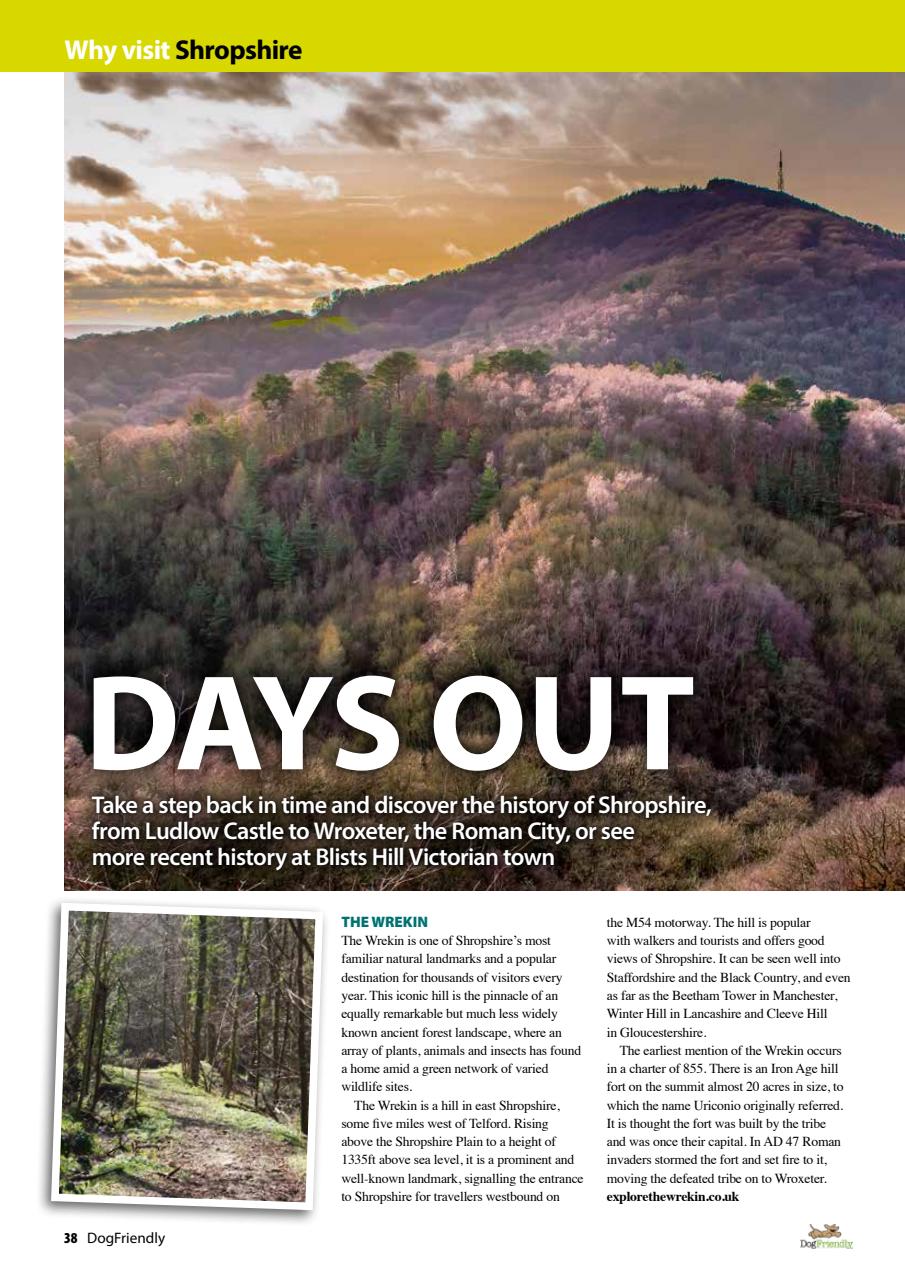 Dog Friendly Preview Pages