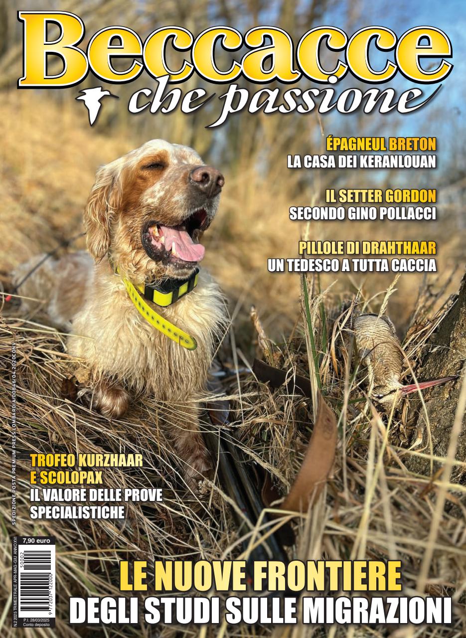 BECCACCE CHE PASSIONE Preview Pages