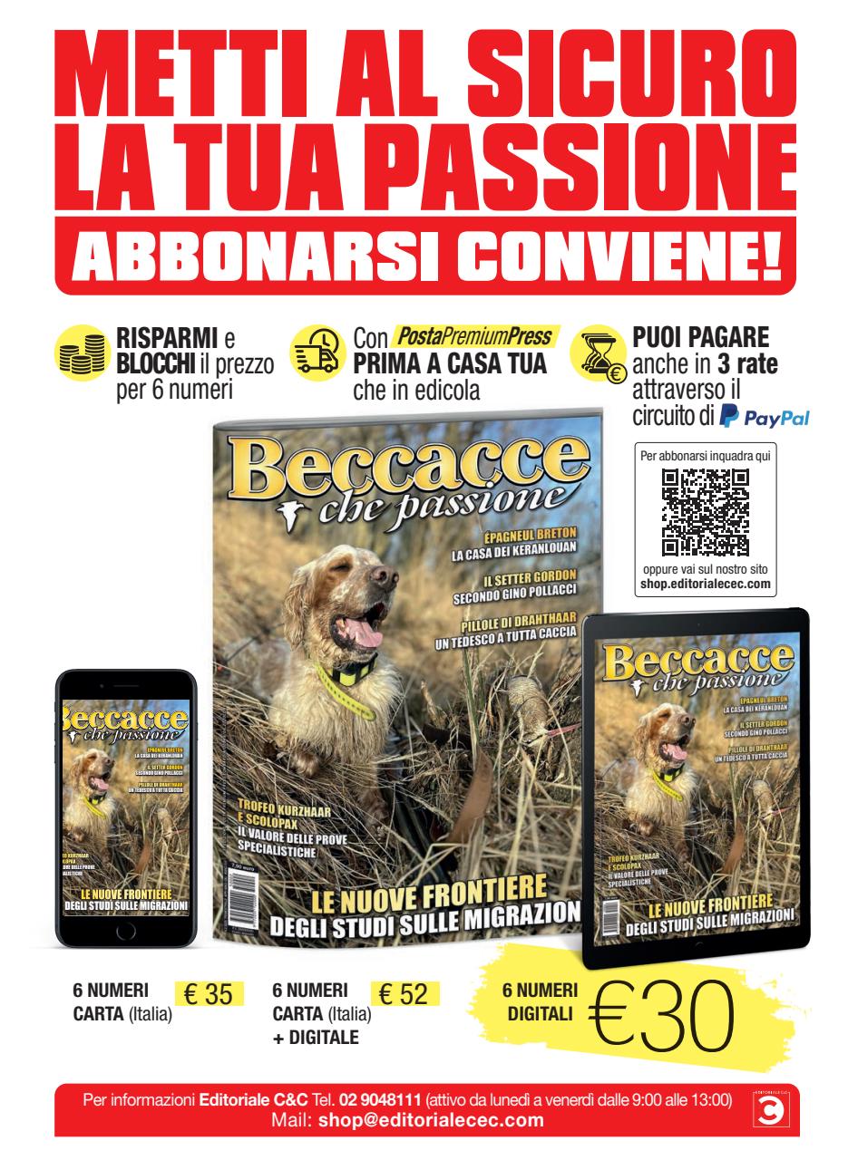 BECCACCE CHE PASSIONE Preview Pages