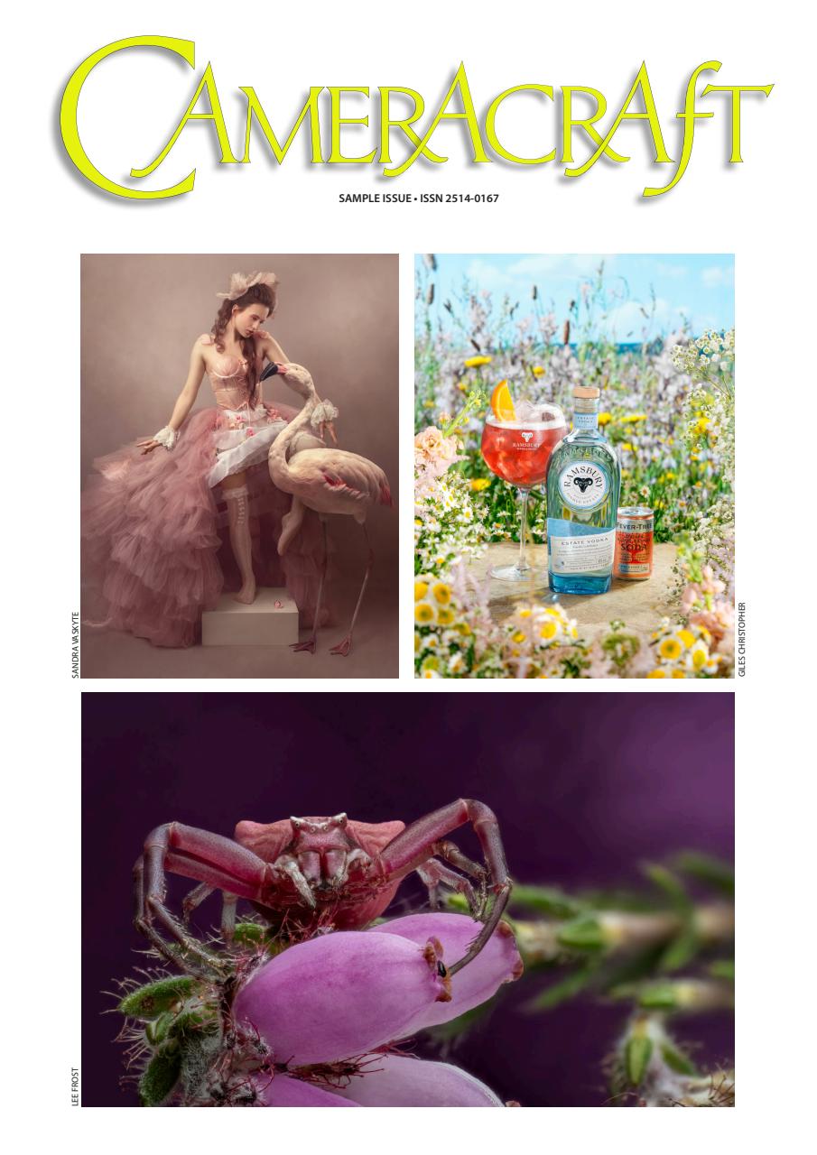 f2 Cameracraft Preview Pages