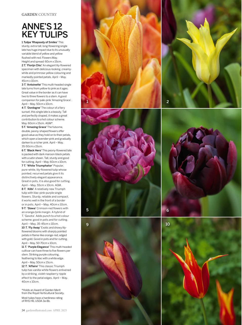 Gardens Illustrated Preview Pages