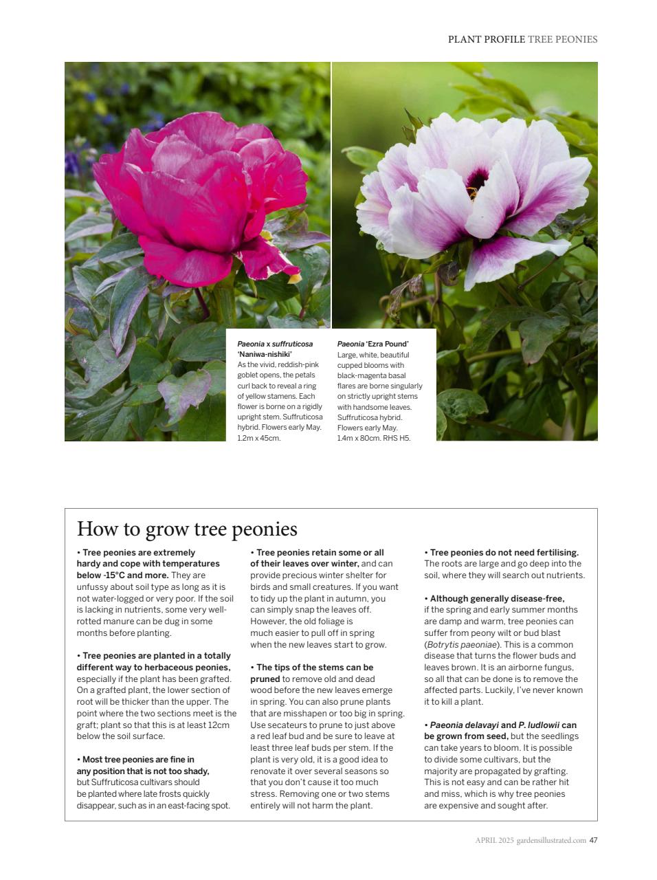 Gardens Illustrated Preview Pages