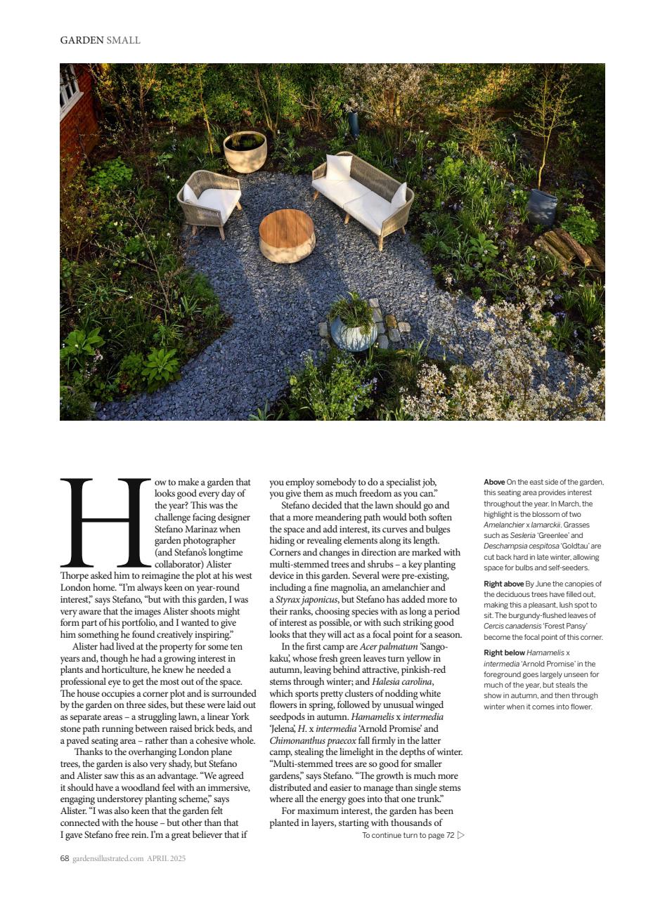 Gardens Illustrated Preview Pages