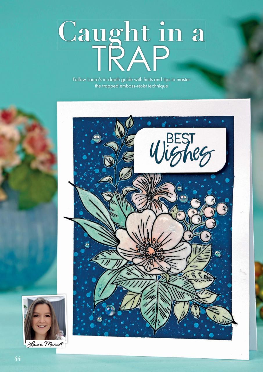 Creative Stamping Preview Pages