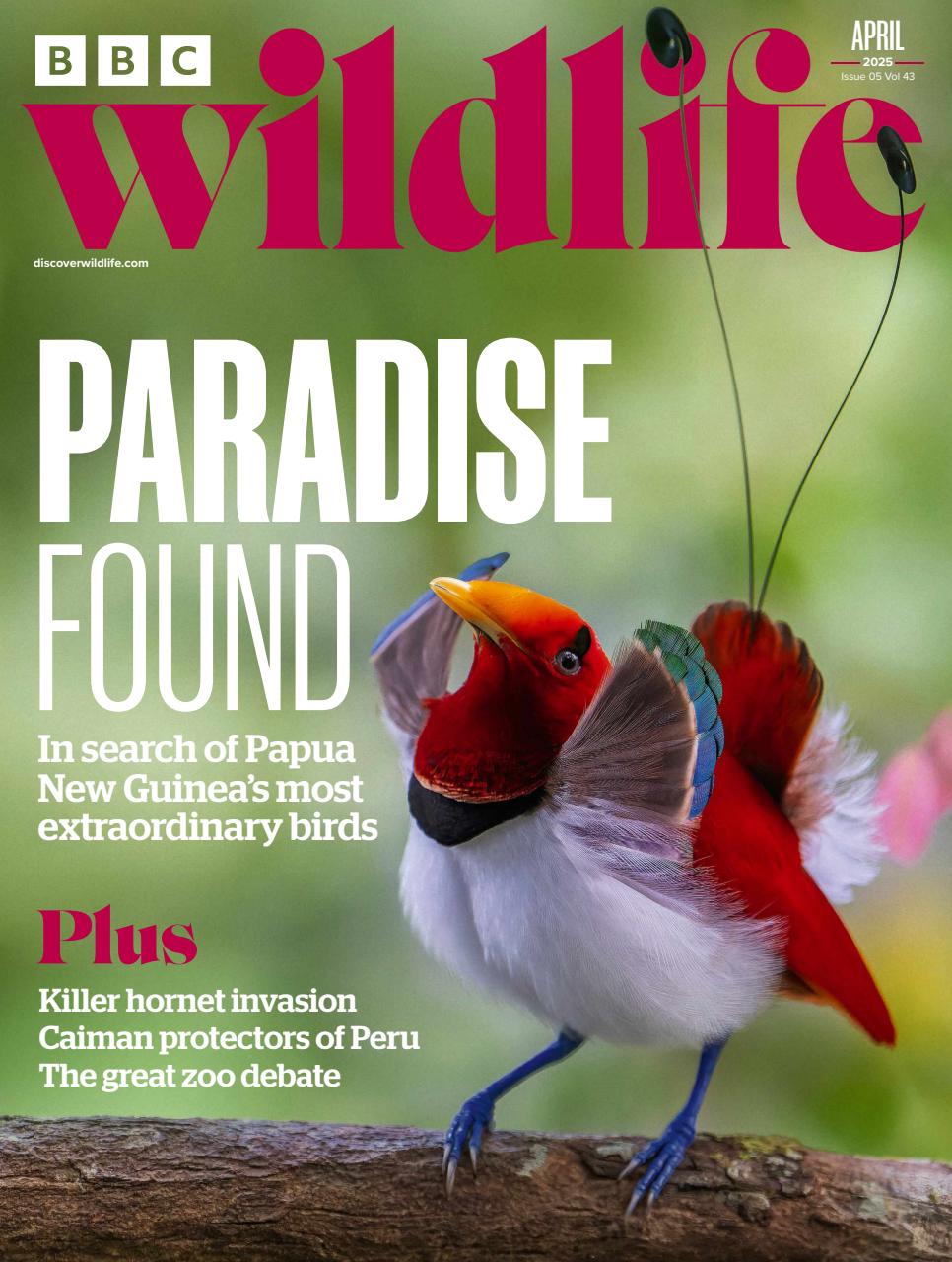 BBC Wildlife Magazine Preview Pages