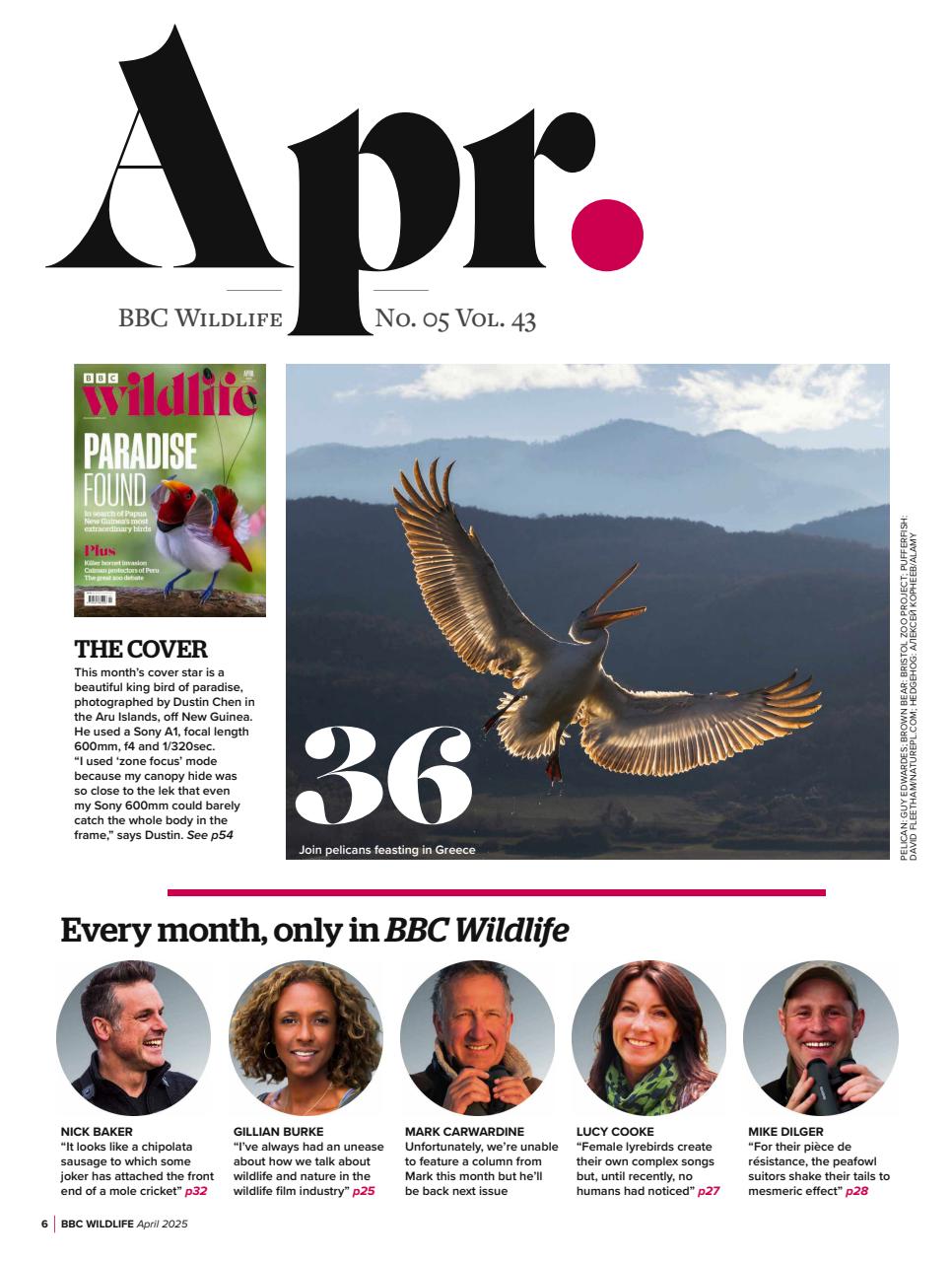 BBC Wildlife Magazine Preview Pages