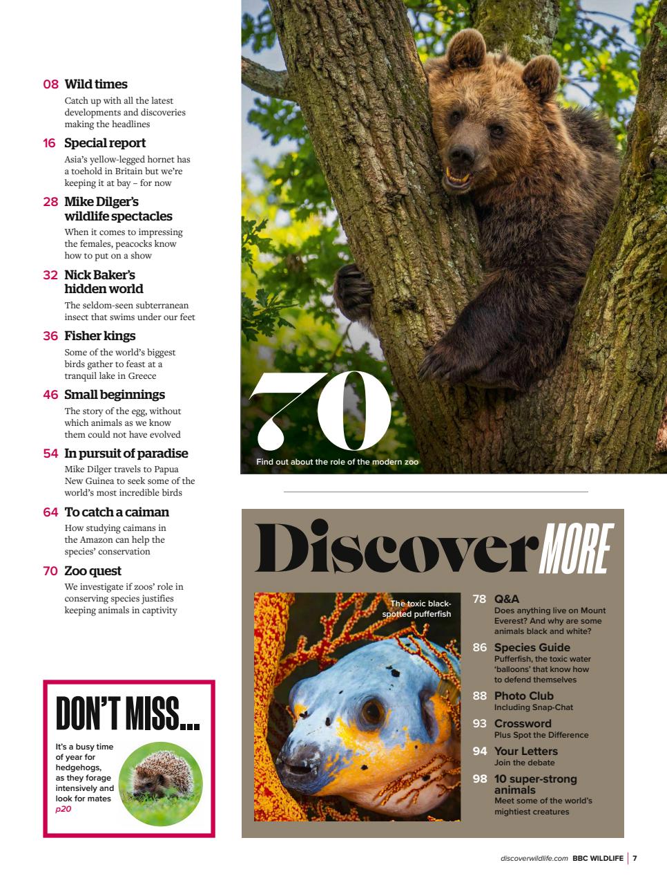 BBC Wildlife Magazine Preview Pages