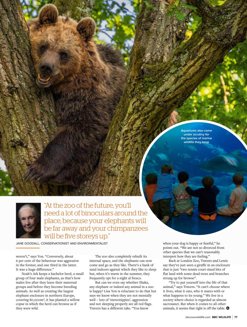 BBC Wildlife Magazine Preview Pages