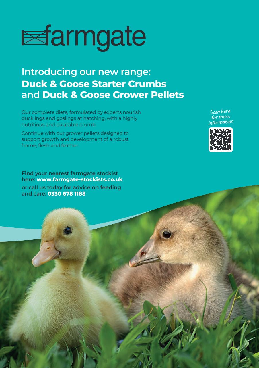 The Country Smallholder Preview Pages