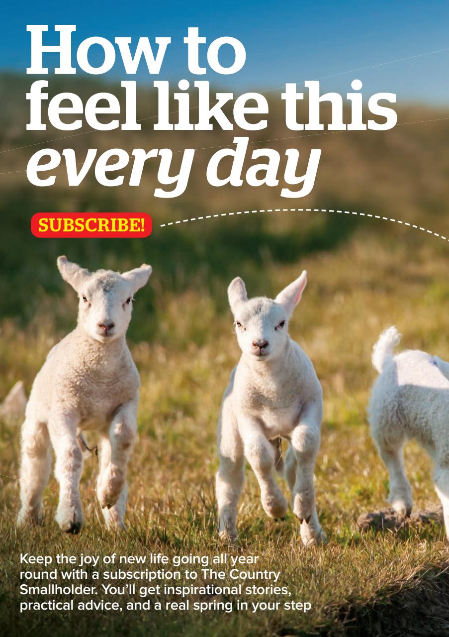 The Country Smallholder Preview Pages