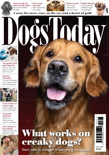 Dogs Today Magazine issue 