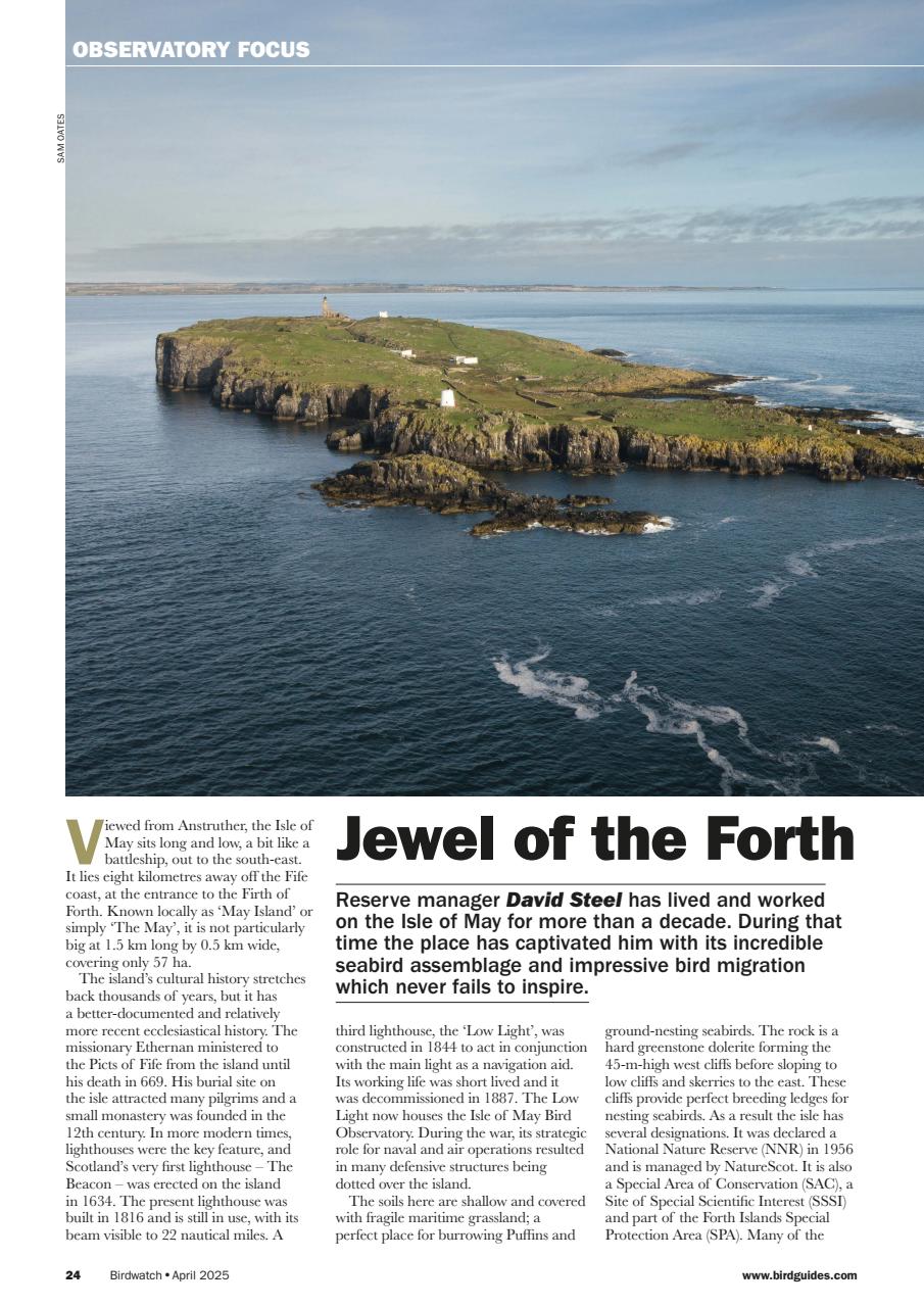 Birdwatch Magazine Preview Pages