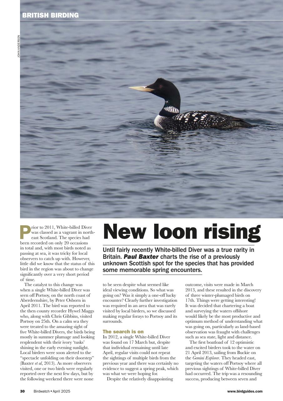 Birdwatch Magazine Preview Pages