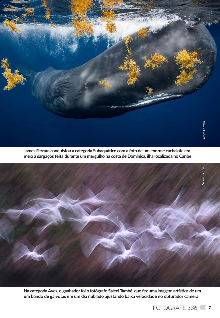 Fotografe Preview Pages