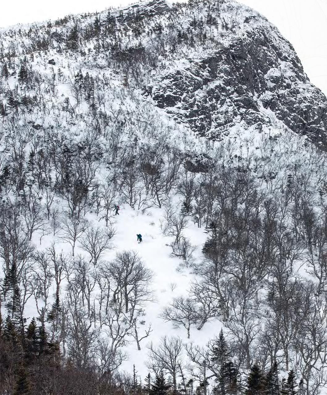 Backcountry Preview Pages