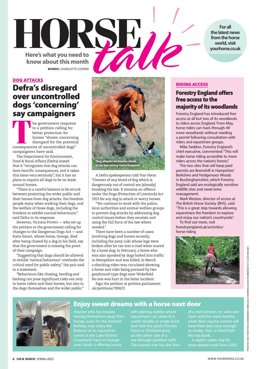 Your Horse Preview Pages